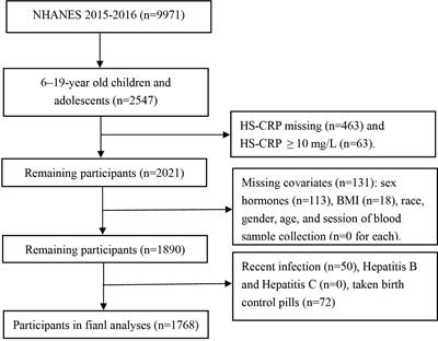 Conditional associations of sex steroid hormones with C-reactive protein levels in American children and adolescents: evidence from NHANES 2015-2016